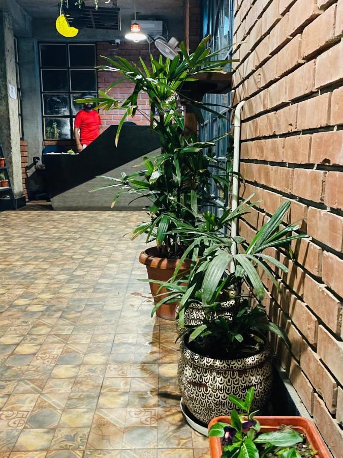 House Of Lights Hotel Solan Exterior foto